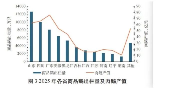 鹅腿争议背后：肉鸭收购价不超过4元/斤，肉鹅收购价超7元/斤！龙头企业2025年养鹅业务陷入低谷